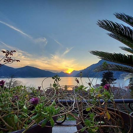 Apartment Terazza Di Ljuta Kotor Exteriér fotografie