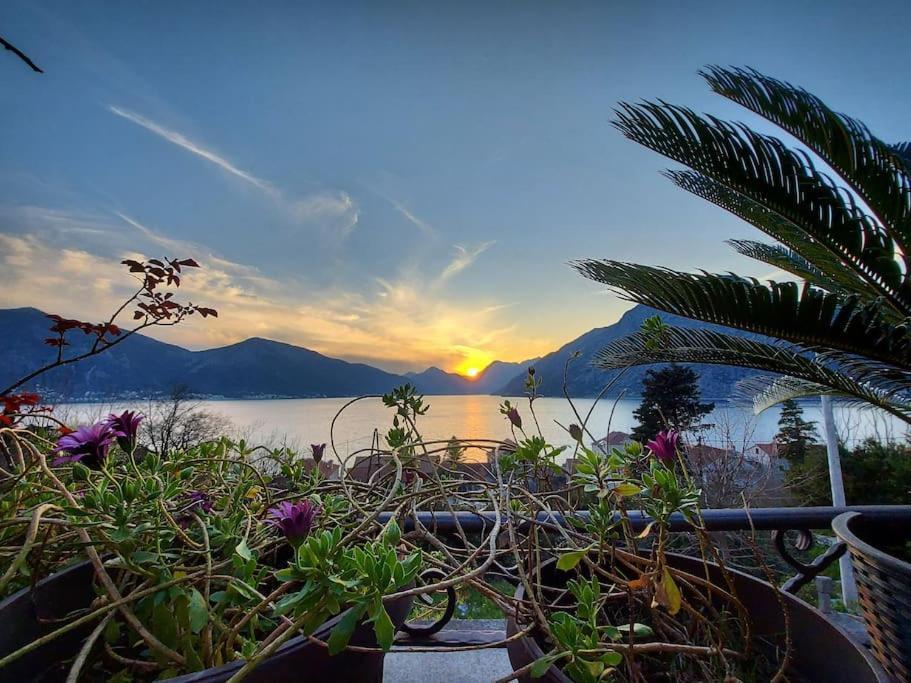 Apartment Terazza Di Ljuta Kotor Exteriér fotografie