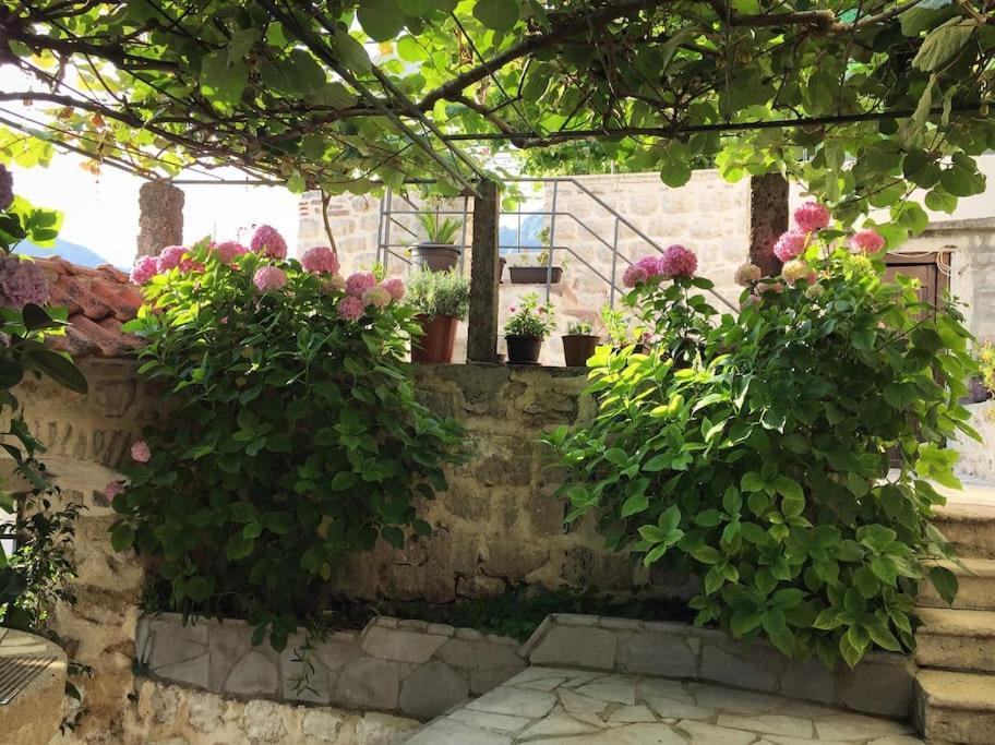 Apartment Terazza Di Ljuta Kotor Exteriér fotografie