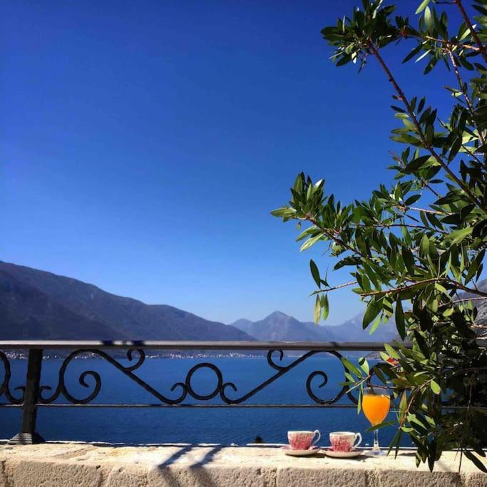 Apartment Terazza Di Ljuta Kotor Exteriér fotografie