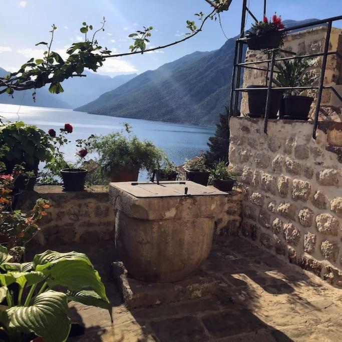 Apartment Terazza Di Ljuta Kotor Exteriér fotografie