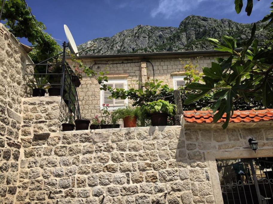 Apartment Terazza Di Ljuta Kotor Exteriér fotografie